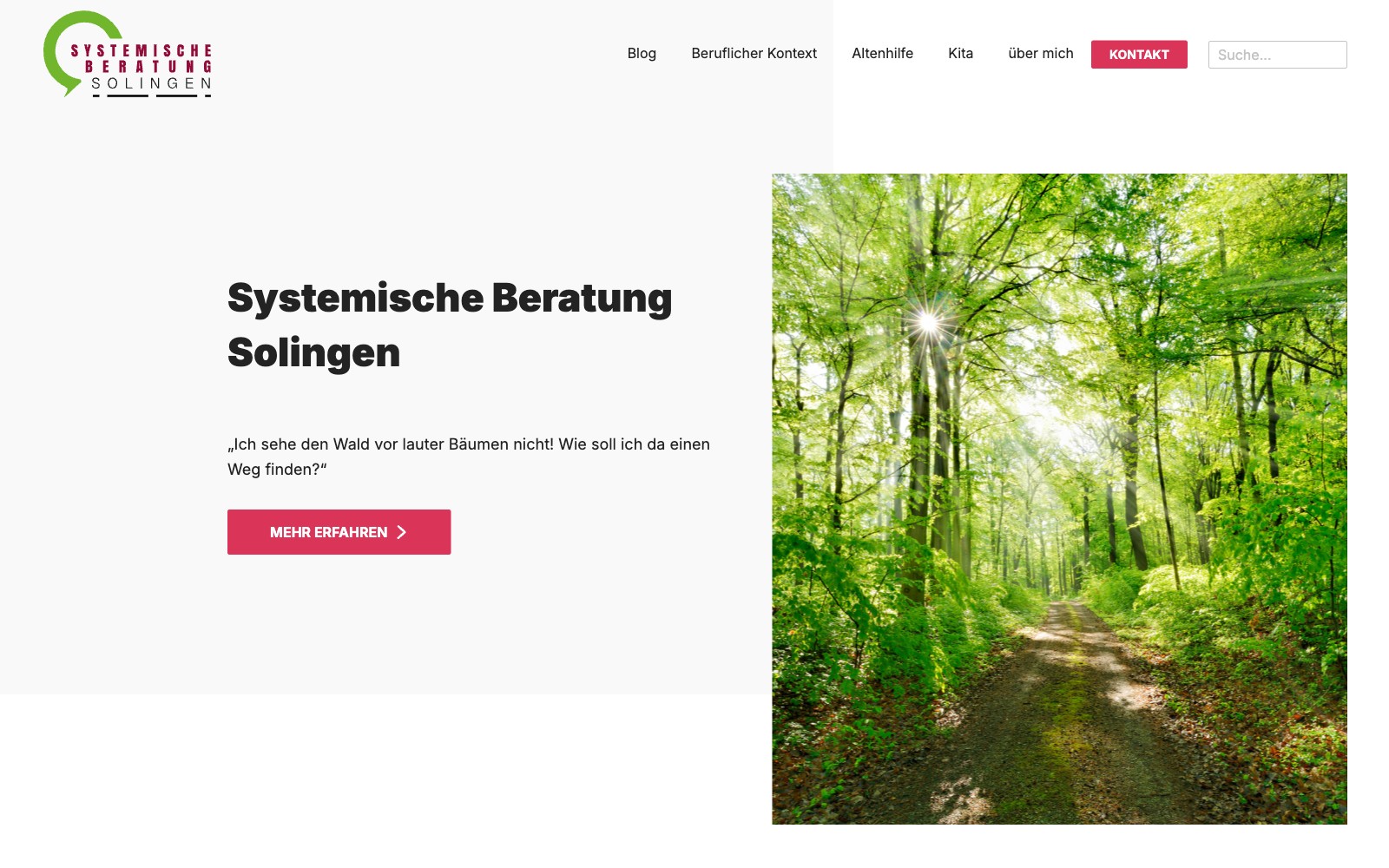 Vorschau Systemische Beratung Solingen